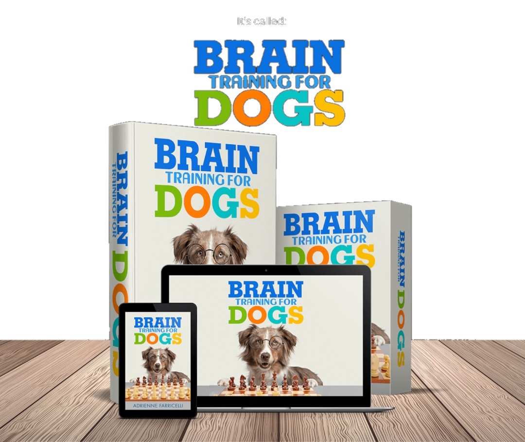 Brain Training for DOGS